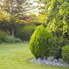 Prospekt der firma gartenbau bolt gmbh. Gartenbau Munchen Erfahrener Meisterbetrieb