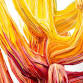 Opening Reception: Summer Exhibitions