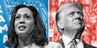 A Tour of the Turks and Caicos Estate