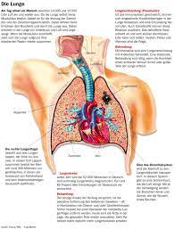 Copd Lung Operation Perokok O