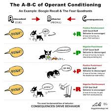 Operant Conditioning Explained Through Dog Training Condicionamento Operante Reforco Positivo Comportamento