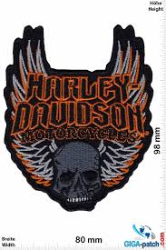 Image result for harley davidson wing