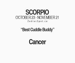 For them, cuddling is the best way to get to know somebody more intimately. 20 Quotes About Cancer Scorpio Relationships Scorpio Quotes