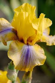 Pin On Colours Of Our Logo