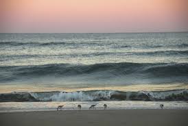 Maybe you would like to learn more about one of these? Charleston Vacation Rentals Search
