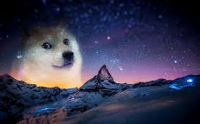 They must be uploaded as png files, isolated on a transparent background. Doge Meme Wallpapers Top Free Doge Meme Backgrounds Wallpaperaccess