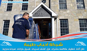 شركة نقل عفش ببقيق للإيجار 00201025046417 لنقل العفش في دينا نقل اثاث ببقيق