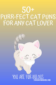 The hurricane of puns trope as used in popular culture. 50 Hiss Terically Purr Fect Cat Puns For Any Cat Lover