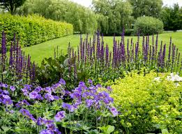 Thomas Hoblyn Suffolk And Cambridge Garden Design Garden Design Garden Planning Beautiful Gardens