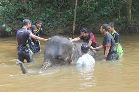 Pelancongan di mana pelancongan malaysia telah ditubuhkan bagi memikul tanggungjawab untuk. Ekopelancongan Dan Impak Kepada Ekonomi Sosial Dan Alam Sekitar Majalahsains