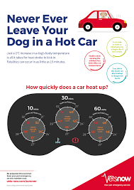 dogs in hot cars check out our dog in car temperature chart