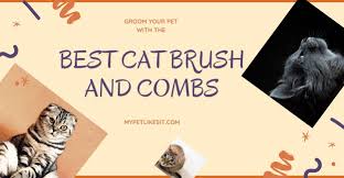 See more ideas about cat brushing, cats, long haired cats. Best Cat Brushes Review And Comparison 2020 My Pet Likes It