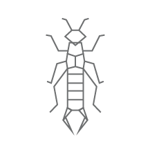 Dodson pest control ant exterminator wilmington nc north carolina phone number, contact, address, 425 landmark dr, wilmington, nc 28412, usa dodson pest cape fear termite & pest control is a fully insured, north carolina licensed pest and termite extermination service provider. Home Dodson Pest Control