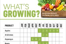 Whats In Season Illinois Produce Calendar Infographic