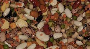 Se siete vegetariani, vegani o semplicemente onnivori che amano le verdure, questo è quello che fa per voi! Proteine Nobili Cosa Sono E In Quali Alimenti Si Trovano Idee Green