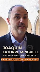 The Black Truffle of Teruel can now be marketed with the IGP label in  Spain👏🆕 ➡️The Black Truffle of Teruel now carries the Protected  Geographical Indication (PGI) quality seal in Spain. Last