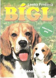 Image result for bígl