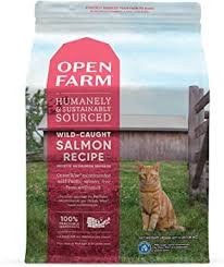 Be sure to consult with your. 11 Best Dry Cat Foods Of 2021 Unbiased Review All About Cats