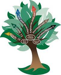 Workforce Snohomish College Awareness School Counseling Career Readiness