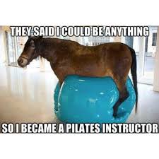 Hilarious Horse Memes for Tired Hoomans ...