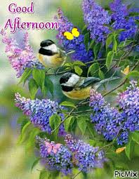 Bird Is The Word Gif Https Encrypted Tbn0 Gstatic Com Images Q Tbn 3aand9gctp8i Mrv1hvy4utgelq3k7 Gguyhhivmivsw Usqp Cau