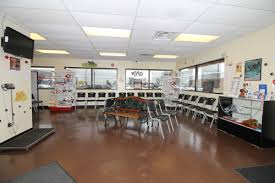 I, the undersigned declare that 1. Pet Vet Express Low Cost Vet Clinic Dyer Veterinarian