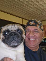 Good morning pug family