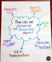 Kindergarten Science Kindergarten Science Curriculum Science Anchor Charts Earth Science Lessons