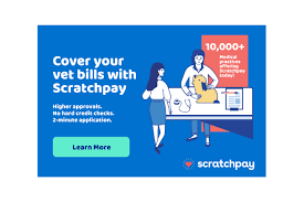 We did not find results for: Scratchpay Simple Friendly Payment Plans For Medical Financing