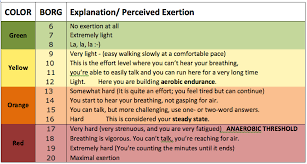 Rpe Borg Scale Physical Fitness Fitness Physical Therapy