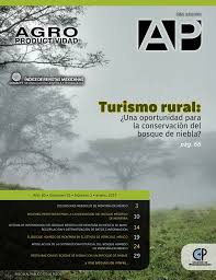 Encargado de el mantenimiento y desarrollo de redes, piezas promocionales diseño editorial, portales, estilos gráficos de publicidad y… Pdf Los Bosques Mesofilos De Montana De Mexico