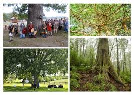 It's great picture of a really adorable baby. European Tree Of The Year Towards A World Tree Of The Year