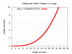 Gafftopsail Catfish Wikipedia