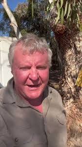 Fred Bee's Instagram, Twitter & Facebook