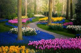 Check spelling or type a new query. The Most Beautiful Flower Garden In The World Without People Petapixel