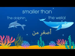 حل كتاب الانجليزي We Can 4 خامس ابتدائي الفصل الثاني ف2