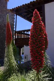 Pin De Bgo Topografia Geosistemas En Tenerife Islas Canarias Isla Canarias Islas Canarias Islas