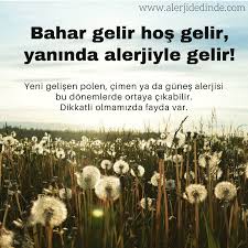 Bahar Gelir Hos Gelir Yaninda Alerjiyle Gelir Yeni Gelisen Polen Cimen Ya Da Gunes Alerjisi Bu Donemlerde Ortaya Cikabilir Dikkatli Olm Alerjiler Bahar Cim