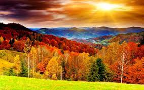 The public gallery images are free to use as your personal desktop wallpaper. Autumn Scenes Wallpapers Top Free Autumn Scenes Backgrounds Wallpaperaccess