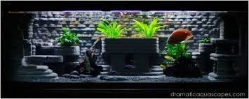 I have made many custom diy 3d backgrounds for aquariums. 9 Diy Aquarium Backgrounds You Can Start Today Learn How