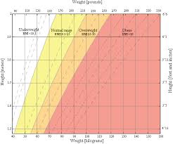 xcellerated speed training body mass index reference information