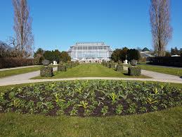 Home › garten › image. Botanischer Garten Berlin Bereitet Offnung Vor Termin Der Wiederoffnung Der Freilandanlagen Wird Am Nachsten Montag Bekanntgegeben Bgbm