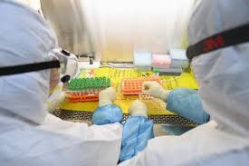 Maybe you would like to learn more about one of these? Home Testing Kits For Coronavirus Fake Chinadaily Com Cn
