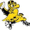 Be ready for iowa basketball season with the iowa hawkeyes women's basketball logo tee. Https Encrypted Tbn0 Gstatic Com Images Q Tbn And9gcrqostznjaoobo0pngabwlx Byqm5krw0 Zfp2mgszcgx6jmfqe Usqp Cau