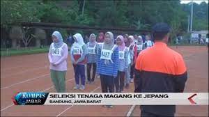 Tni banyak melakukan kegaiatn fisik yang prima dengan demikian hanya calon dengan kemampuan fisik yang baik yang bisa lulus menjadi tni. Mau Magang Ke Jepang Tes Fisik Dulu Youtube