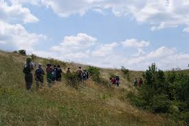 Check spelling or type a new query. Duna Ipoly Nemzeti Park Tanosvenyek