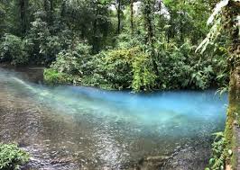 The tenorio volcano national park is a beautiful protected area located in the guanacaste volcanic cordillera. Costa Rica 101 Visiting Tenorio Volcano National Park