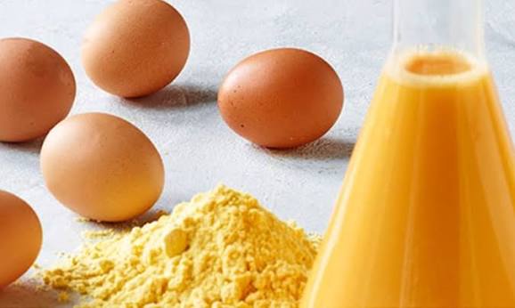 Almacenamiento y manejo apropiado de los ovoproductos en la restauración colectiva | restauracioncolectiva.com