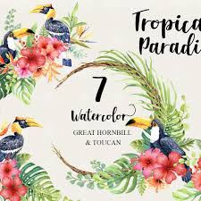 Watercolor Tropical Birds Great Hornbill And Toucan Etsy Birds Of Paradise Paradise Painting Bird Of Paradise Yoga