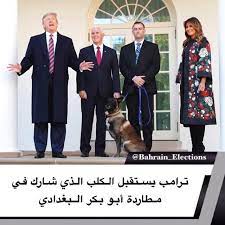 بالصور ترامب يستقبل الكلب الذي شارك في مطاردة أبو بكر البغدادي استقبل الرئيس الأمريكي دونالد ترامب اليوم الاثنين ضيفا غير عادي في البيت الأب animals dogs